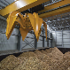 Biomass matters