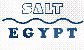 Salt Egypt