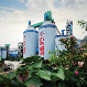 China’s path to green growth